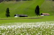 DSC01864-Biken-Obern-20020427