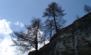 DSC06232-Schrager-Baume-20070408