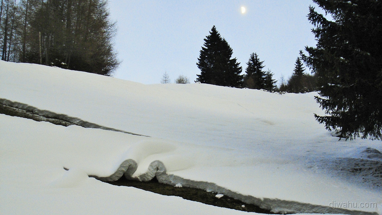 DSC07007-Schnee-Mond-20081206.jpg