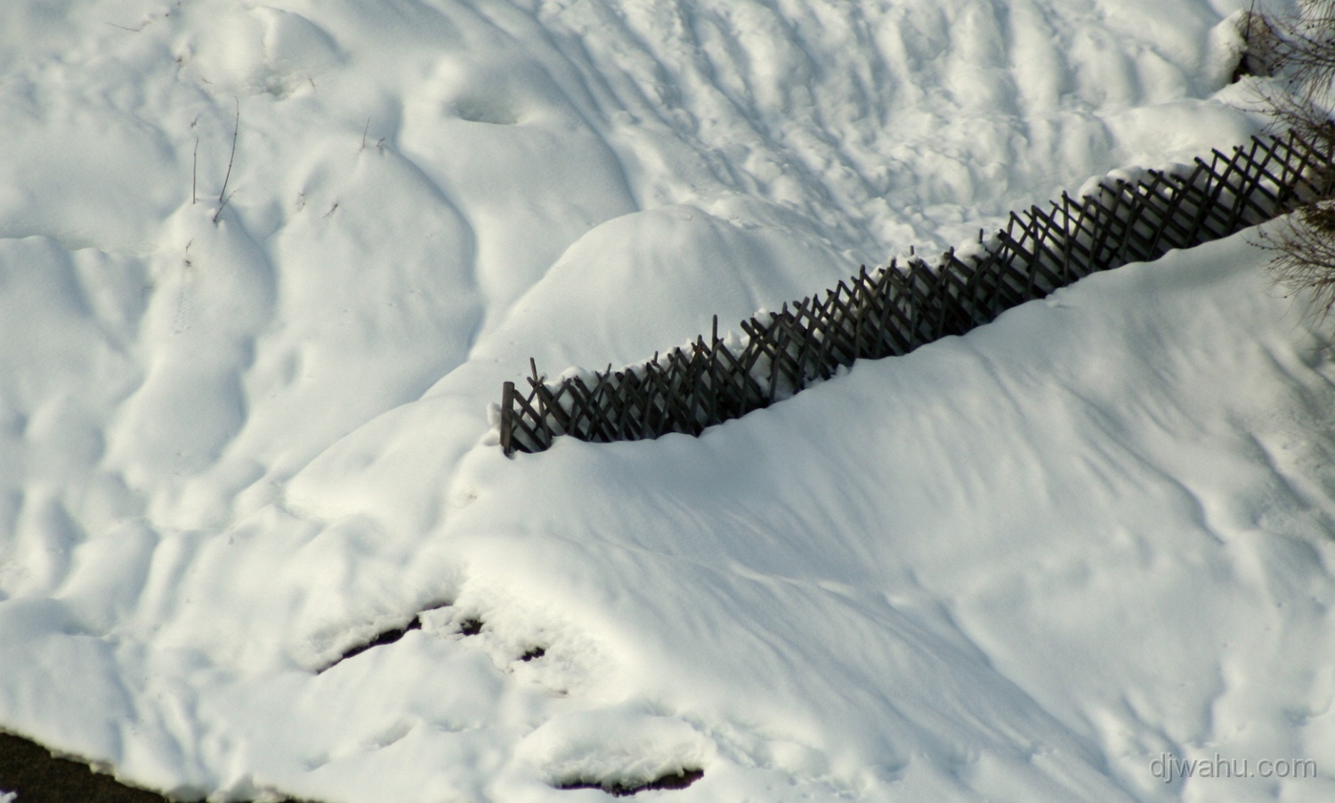 IMG_0290-Schnee-Zaun-20081225.jpg
