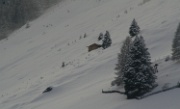 IMG_7644-Oberissen-Winter-Stadel-Baum-20071208