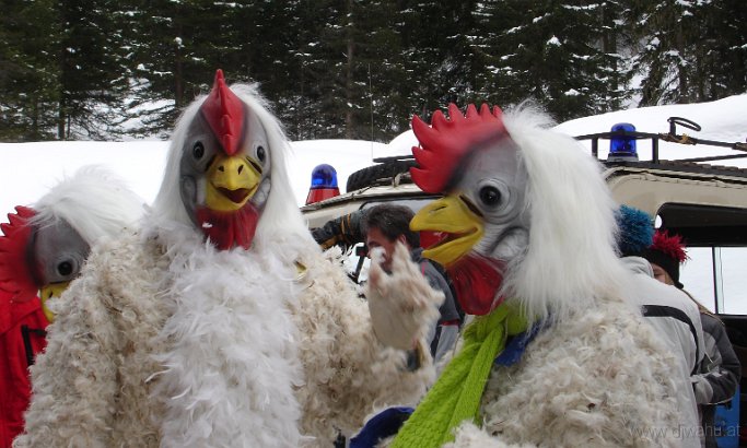 DSC04795-Vogelgrippe-.JPG