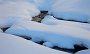 DSC01487-Schnee-Wasser-Schrager-