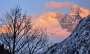 DSC01704-Olperer-Fusstein-Baum1-