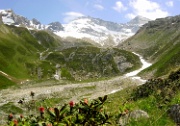 DSC02050-Rossbichl-Olperer-20020619