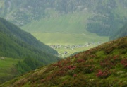 DSC03220-Toldern-Alpenrosen-20030606