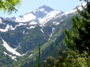 Dsc00248-Laponis-20010610