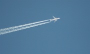 IMG_8059-20080509