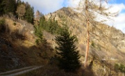 DSC05967-BaumBacheralm-20061118