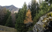 DSC05985-Dachsgufelonnenkopf-20061118