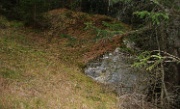 DSC06001-Warzenkrautstein-20061118