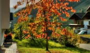 IMG_2570-Herbst-HDR-20061011