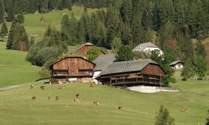IMG_6486-Pedratsches.jpg